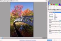 Editing RAW Photos in Photoshop Step-by-Step Tutorial Editing RAW Photos in Photoshop Step-by-Step Tutorial
