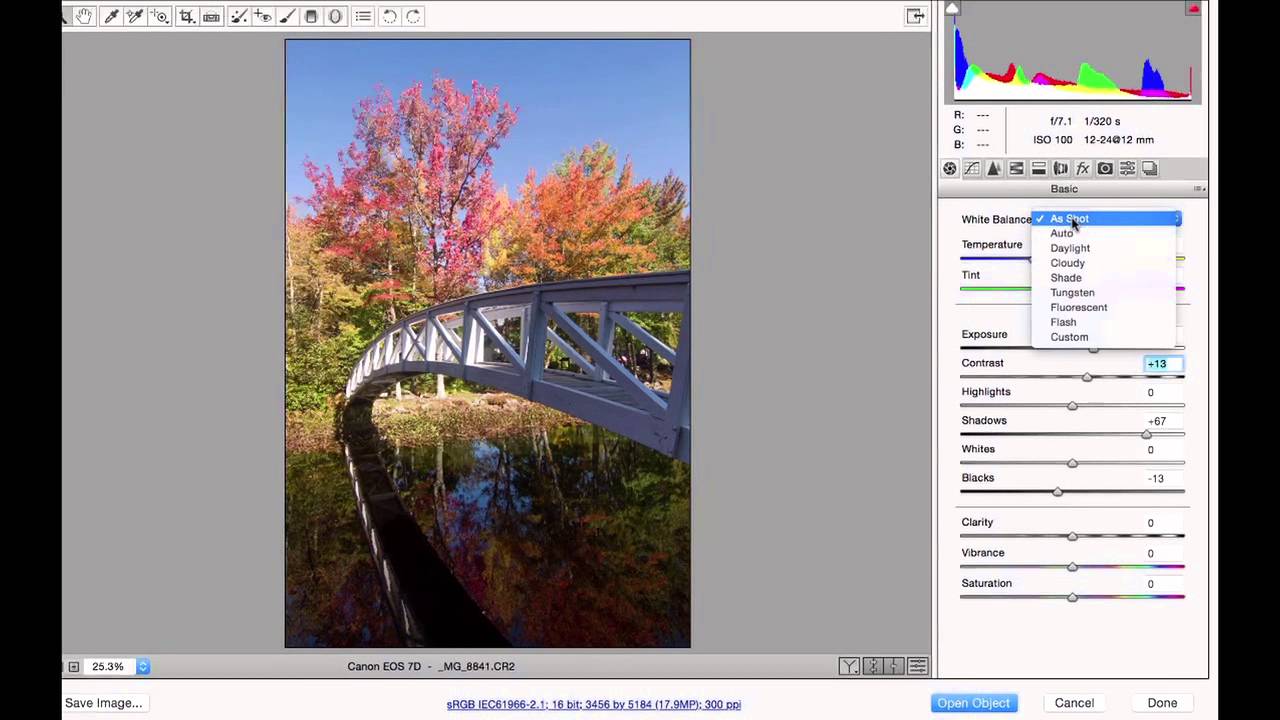 Editing RAW Photos in Photoshop: Step-by-Step Tutorial