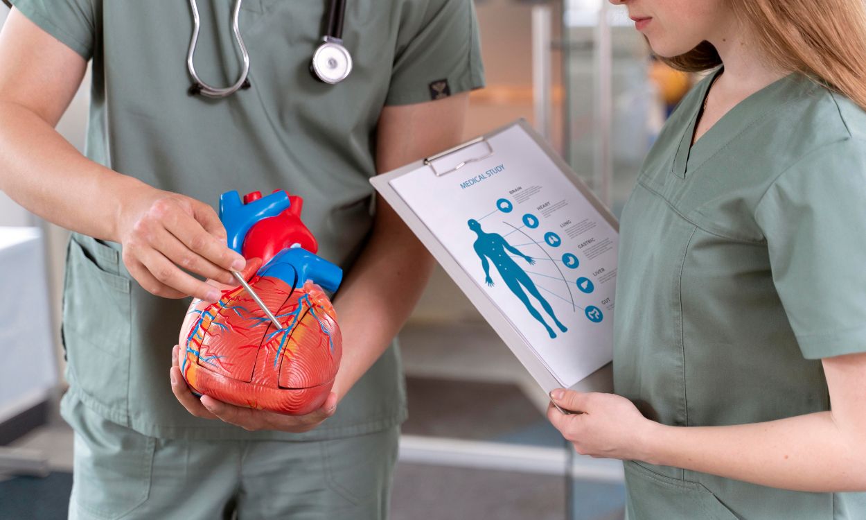 How to Improve Your Cardiovascular Health Effectively