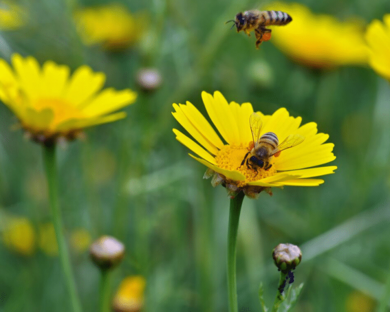 Seasonal allergies flu remedies colds How to Deal with Seasonal Allergies Naturally